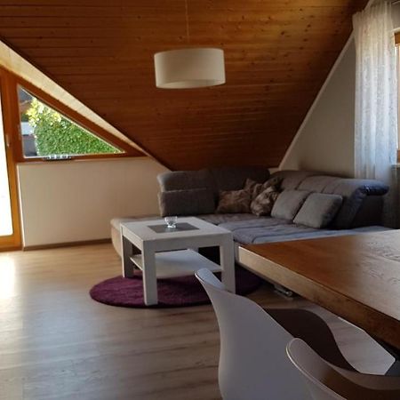 Appartment Sonnenblick Dielheim Esterno foto