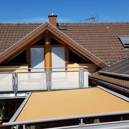 Appartment Sonnenblick Dielheim Esterno foto