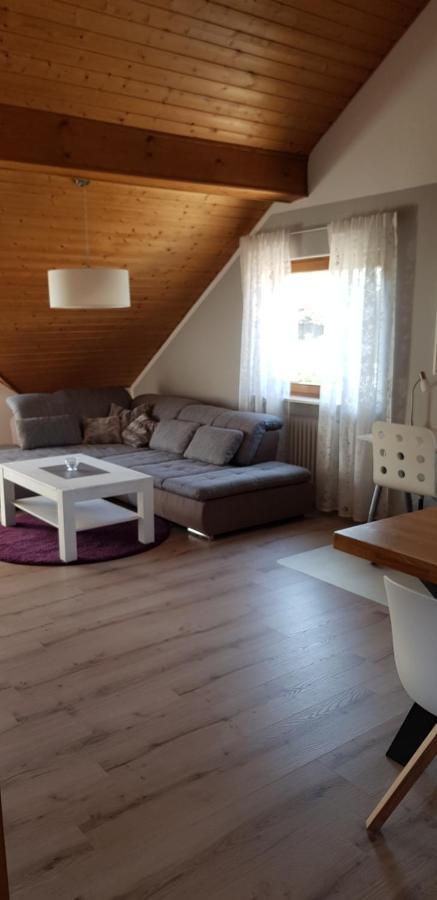 Appartment Sonnenblick Dielheim Esterno foto